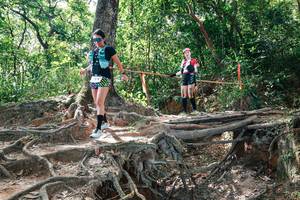 BIB: 
                            <button type="button" onclick="openModal(27722164)" class="btn btn-primary btn-sm float-right btn-popup" data-toggle="modal" data-target=".modal-high-quality">
                        <i class="fas fa-shopping-cart"></i> Add to Cart
                    </button>
                                            <button type="button" onclick="isThisMe(27722164, true)" class="btn btn-success btn-sm float-right btn-popup btn-isme hidden" data-toggle="tooltip" data-placement="bottom" title="นี่คือรูปของคุณใช่ไหม คลิกที่นี่เพื่อเอาเข้าอัลบั้ม">
                        <i class="fas fa-plus"></i> Add to album
                    </button>
                    <button type="button" onclick="isThisMe(27722164, false)" class="btn btn-warning btn-sm float-right btn-popup btn-isnotme hidden">
                        <i class="fas fa-ban"></i> Remove from album
                    </button>